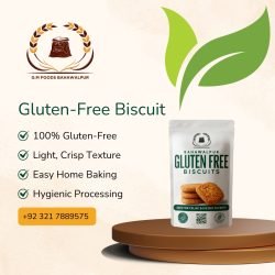 Gluten-Free Biscuit Mix — Ready Baking for Dietary Needs